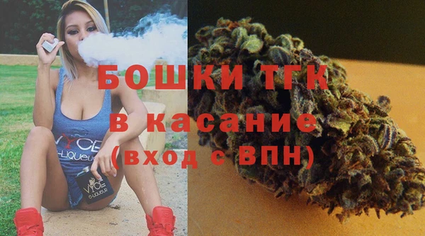 эйфоретик Арсеньев