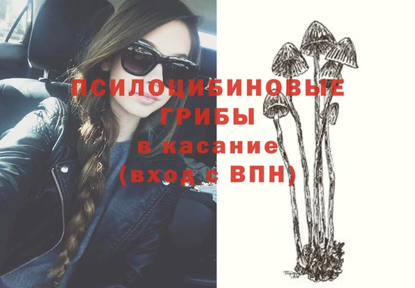 спайс Аркадак