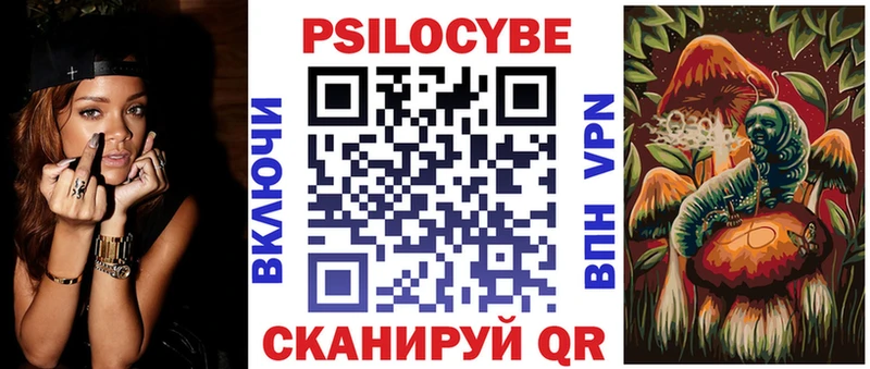 Псилоцибиновые грибы Cubensis  продажа наркотиков  Сланцы 